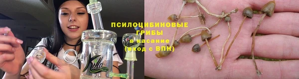 прущие грибы Белоозёрский