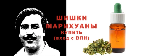 прущие грибы Белоозёрский