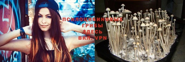 прущие грибы Белоозёрский