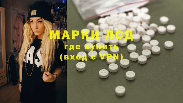 прущие грибы Белоозёрский