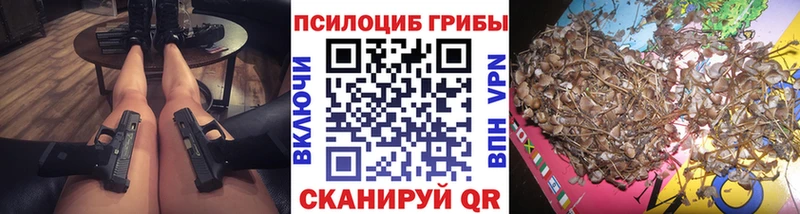 Псилоцибиновые грибы Cubensis  Кропоткин 
